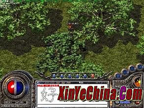 新开传奇世界中变