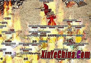 ��Ѫ����ʺ羫��